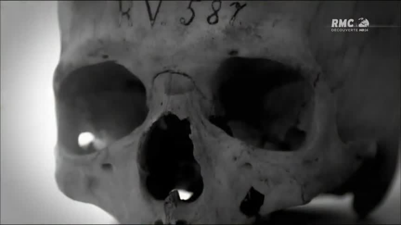Ahnenerbe, les terribles savants d’Hitler