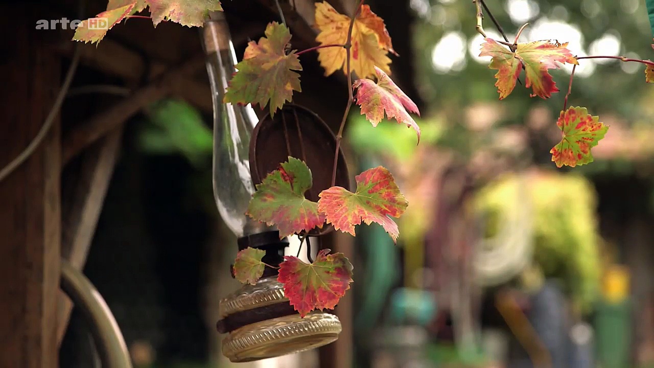 Documentaire Cuisine Royale – Dans le vignoble de Tokaj