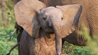 Documentaire La Côte d’Ivoire, un pays à découvrir