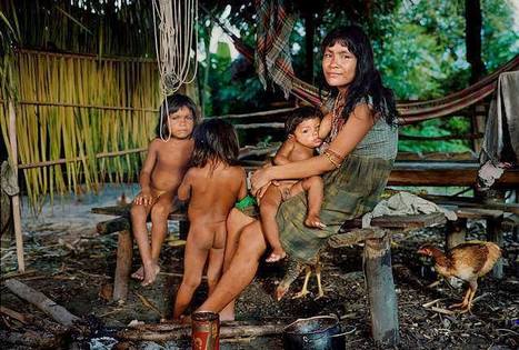 Documentaire La langue cachée d’Amazonie