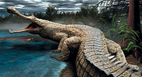 Documentaire Le crocodile géant de la préhistoire (2/3)