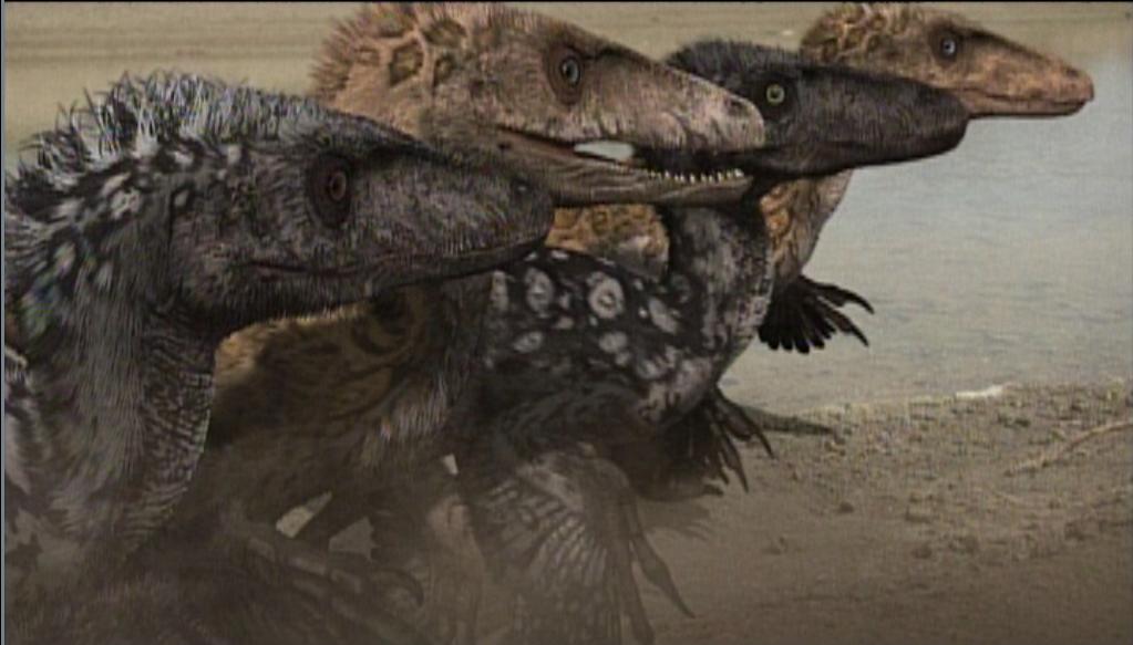 Le royaume des dinosaures - 3/4 - Techniques de survie