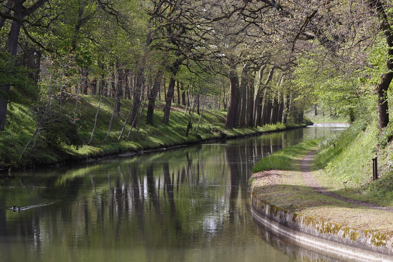 Le canal du Midi