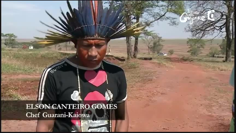 Documentaire Les fils de la forêt, l’ultime combat