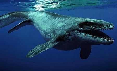 Monstres Marins - Aventure Préhistorique