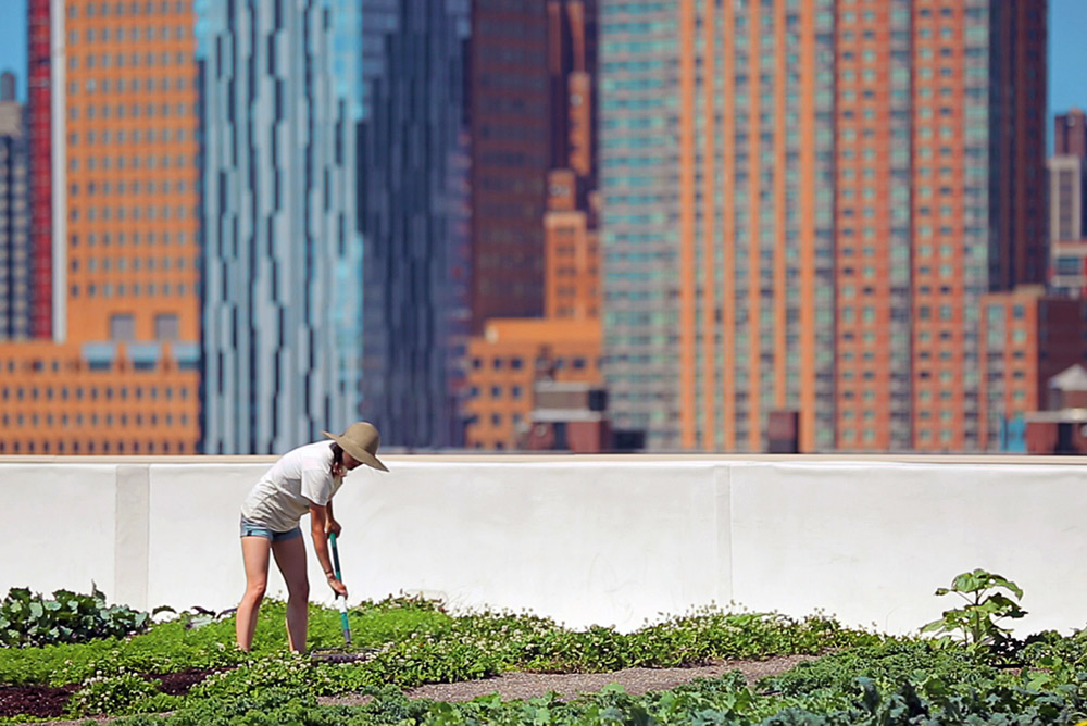 Documentaire Sur les toits des villes – New York