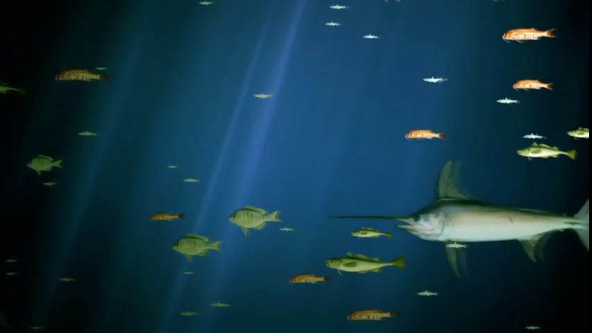 Documentaire Un océan – 2/4 – Les menaces