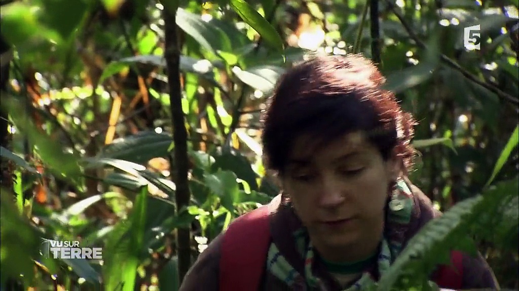 Vu sur Terre - Guatemala