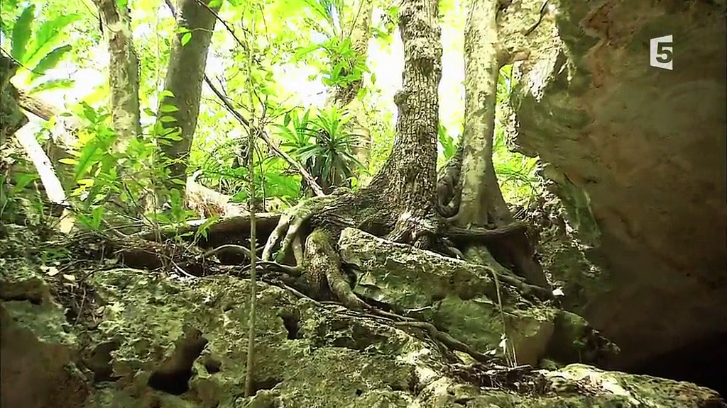 Documentaire Yucatan, culture nature, culture maya