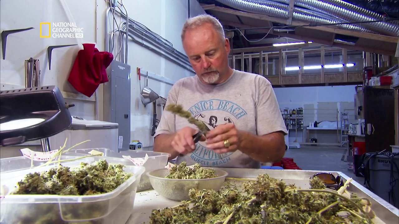 American Weed - E03 - L'herbe des rocheuses