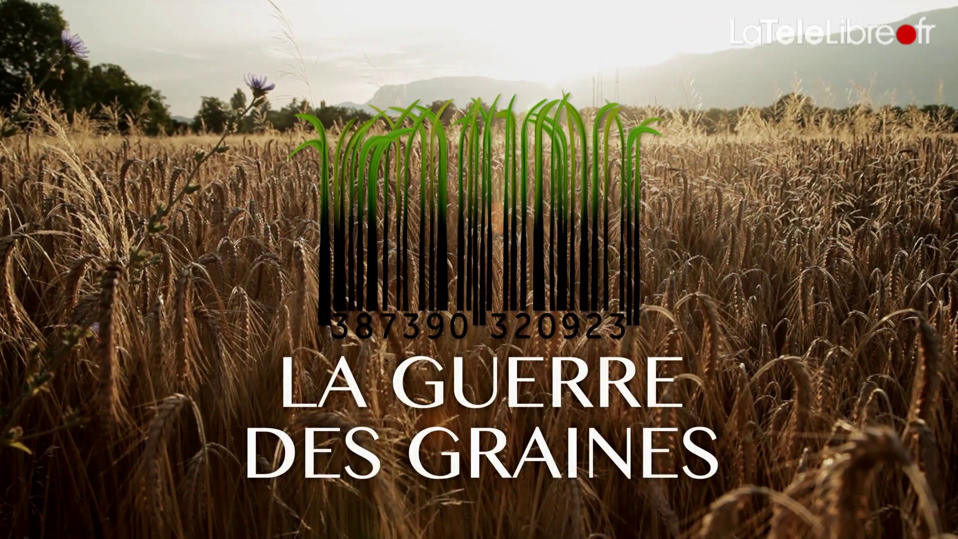 Documentaire La guerre des graines