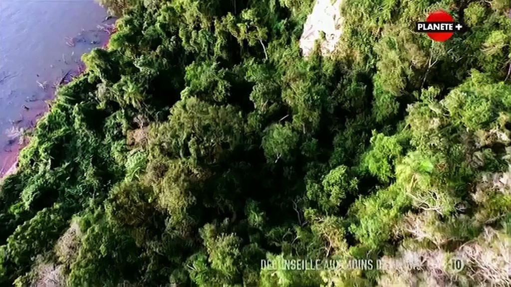 Hunting Hitler, les dossiers déclassifiés - Des amis haut-placés (7/8)