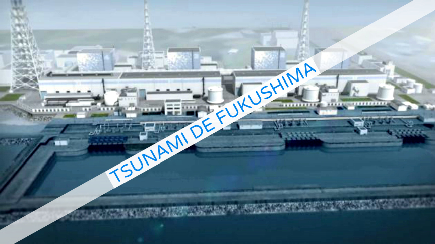 Tsunami de Fukushima