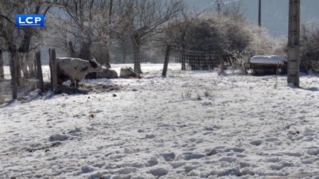 Une tournée dans la neige