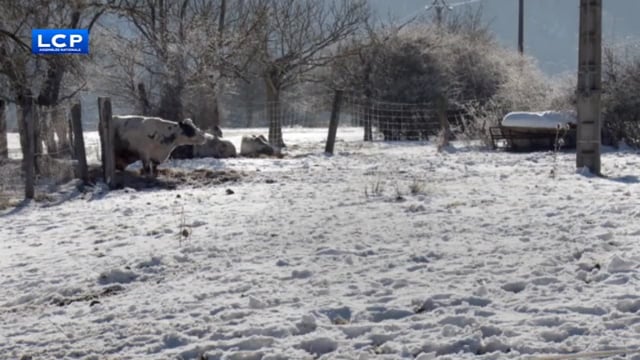 Documentaire Une tournée dans la neige