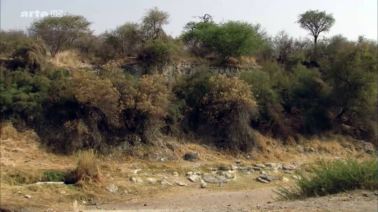 La renaissance de la rivière Boteti