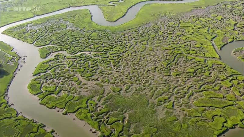 La cote est des Etats-Unis - Les états du Sud