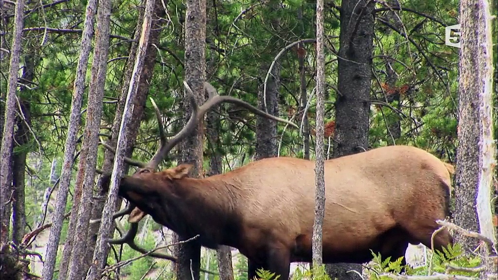 Nature fragile - Les montagnes des Etats-Unis