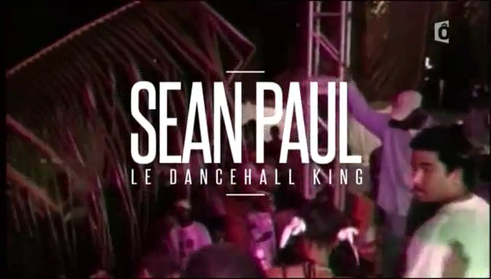 Sean Paul : the dancehall king