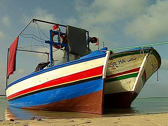 Tunisie – La mer et le désert