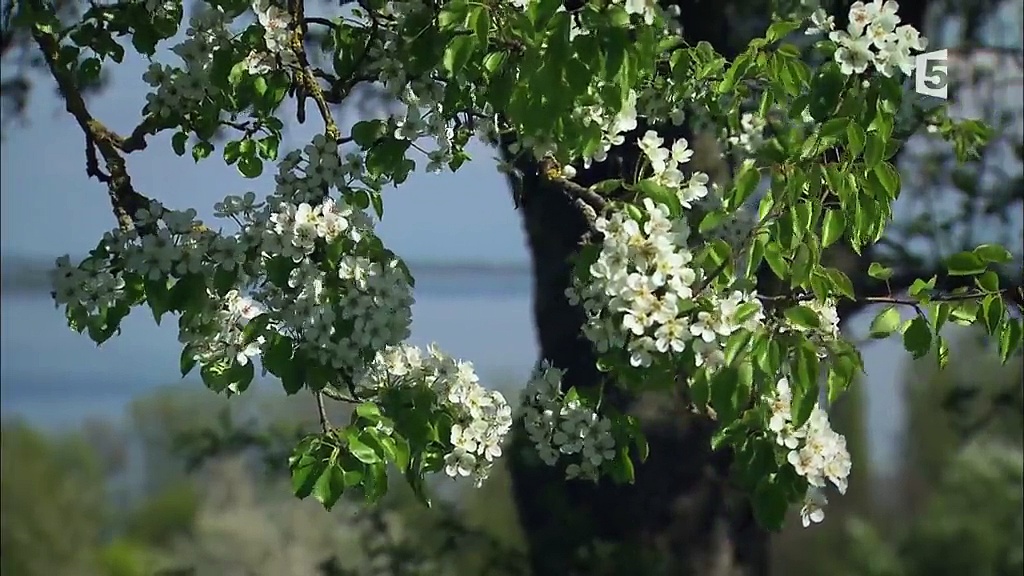 Documentaire Une année au lac de Constance