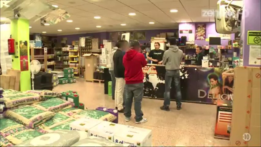Ados et cannabis, les dangers révélés (2/2)