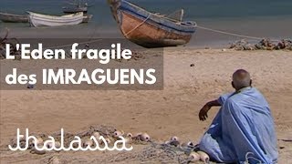 Documentaire L’eden fragile des Imraguens