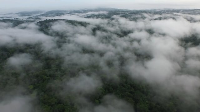 Amérindiens Wayanas, un peuple entre deux mondes