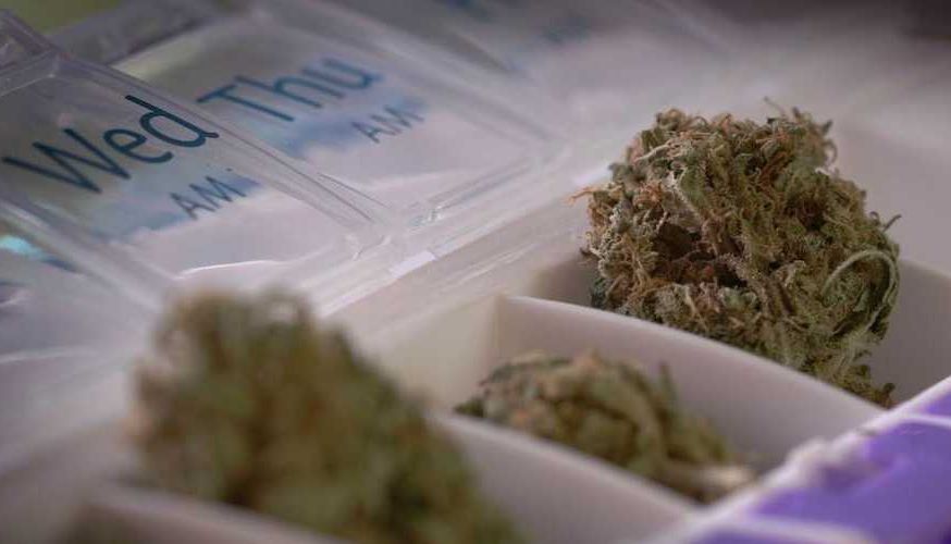Cannabis sur ordonnance