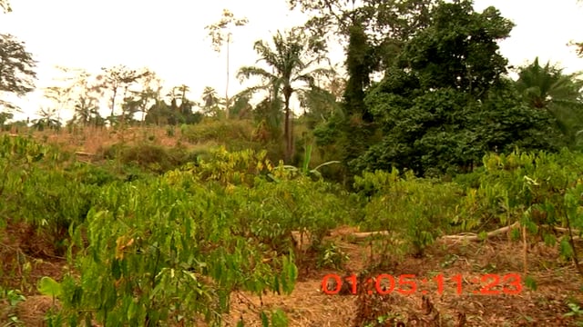 Documentaire La malédiction des ressources