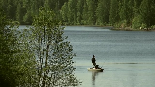 Documentaire Gädda, brochets géants de Suède