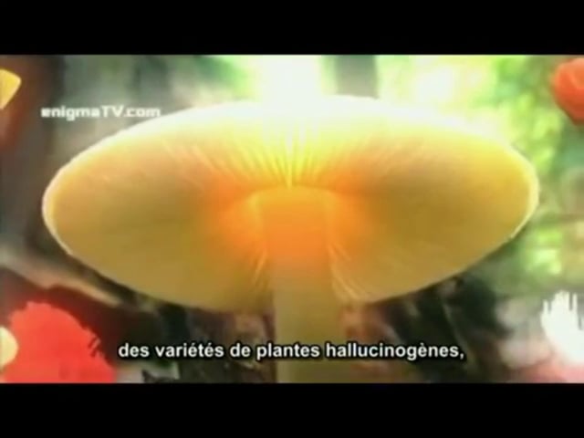 Histoire de la sorcellerie et des démons