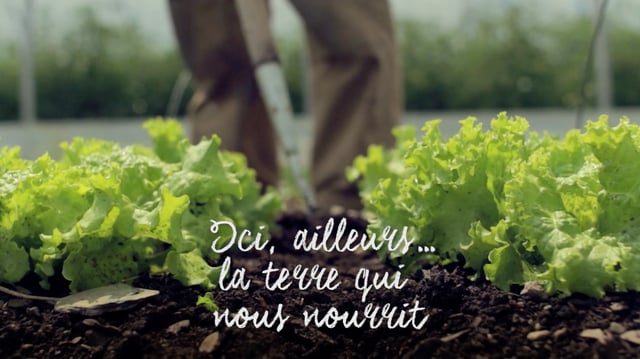 Ici, ailleurs... la terre qui nous nourrit