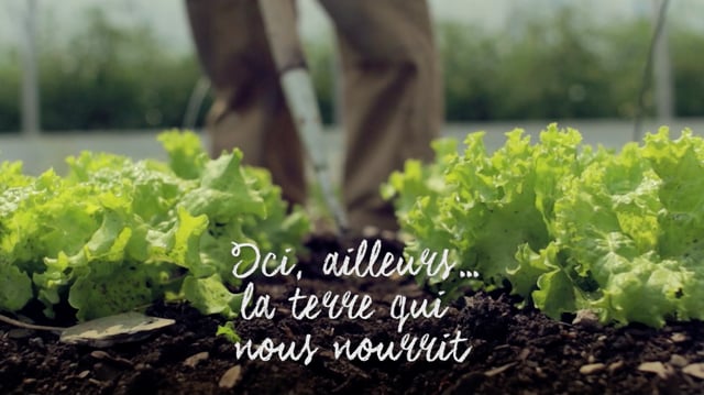 Documentaire Ici, ailleurs… la terre qui nous nourrit