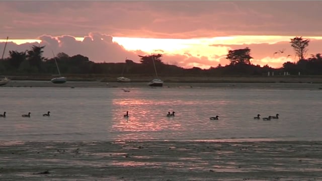 Ile d’aix, au fil des saisons