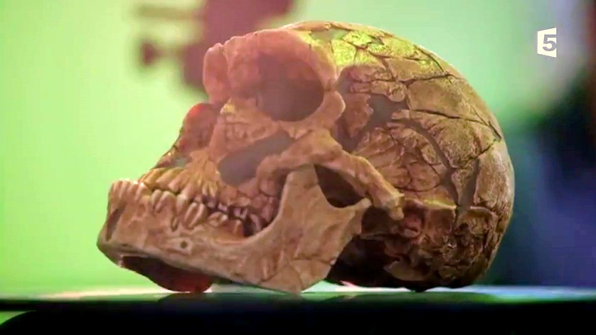 Documentaire La Disparition de l’Homme de Néandertal – Ep02 Le cataclysme