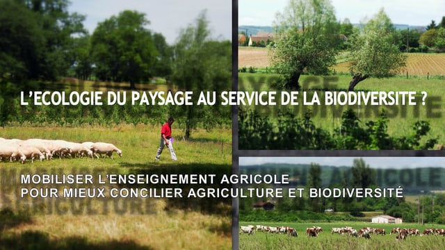 L'écologie du paysage au service de la biodiversité ?