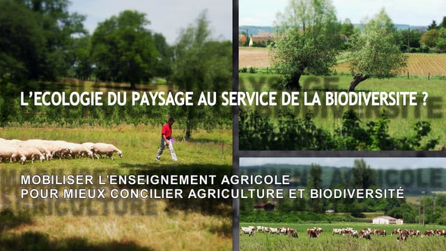 Documentaire L’écologie du paysage au service de la biodiversité ?