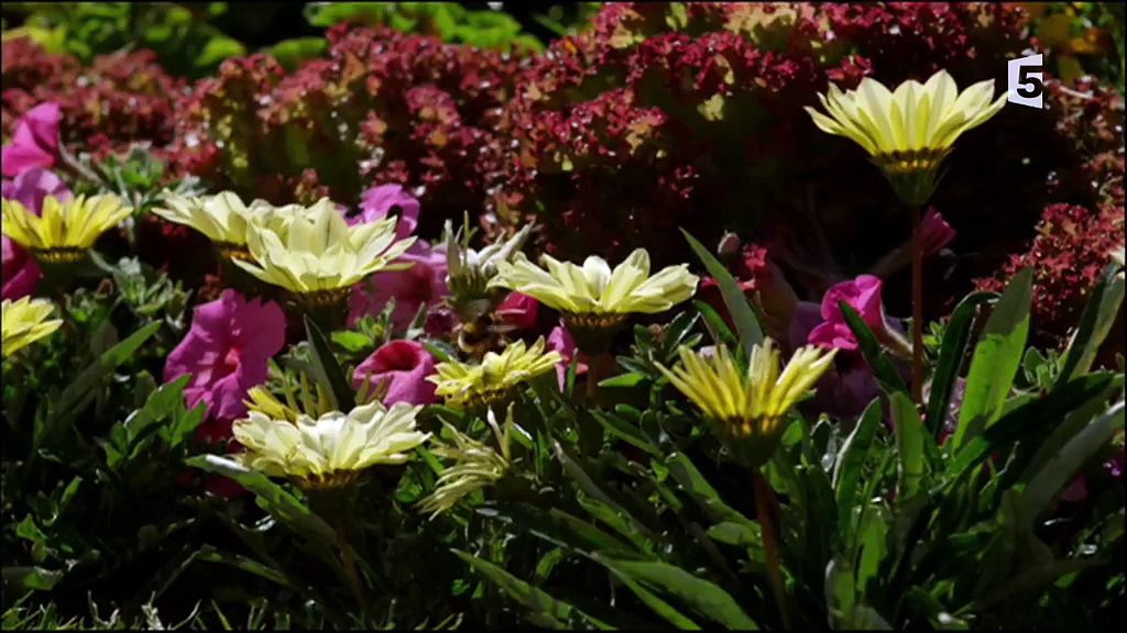 Documentaire Un royaume au fil des saisons – L’été