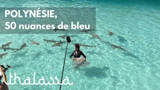 Documentaire Polynésie, 50 nuances de bleu