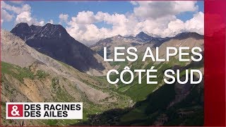 Documentaire Les Alpes, côté sud