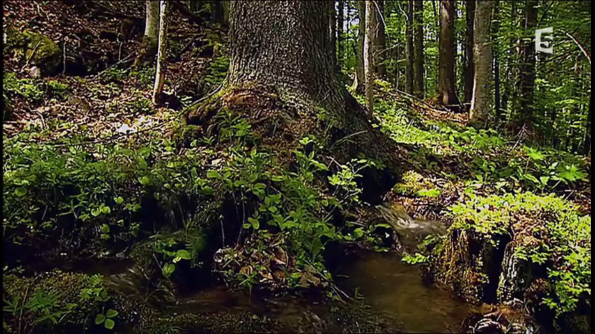 Autriche sauvage