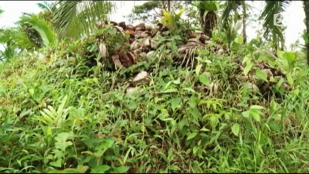Chemins d'école, chemins de tous les dangers - Le Nicaragua