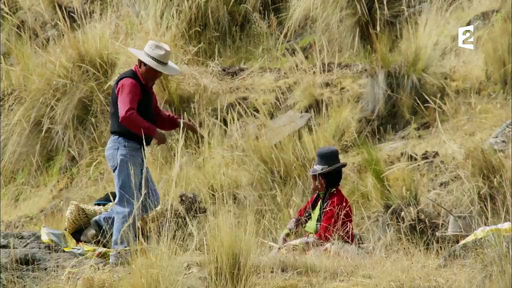 Grandeurs nature – Montagnes sauvages, la cordillère des Andes