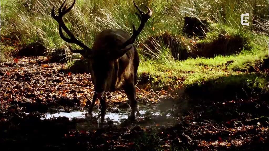 Documentaire L’Irlande du bout du monde