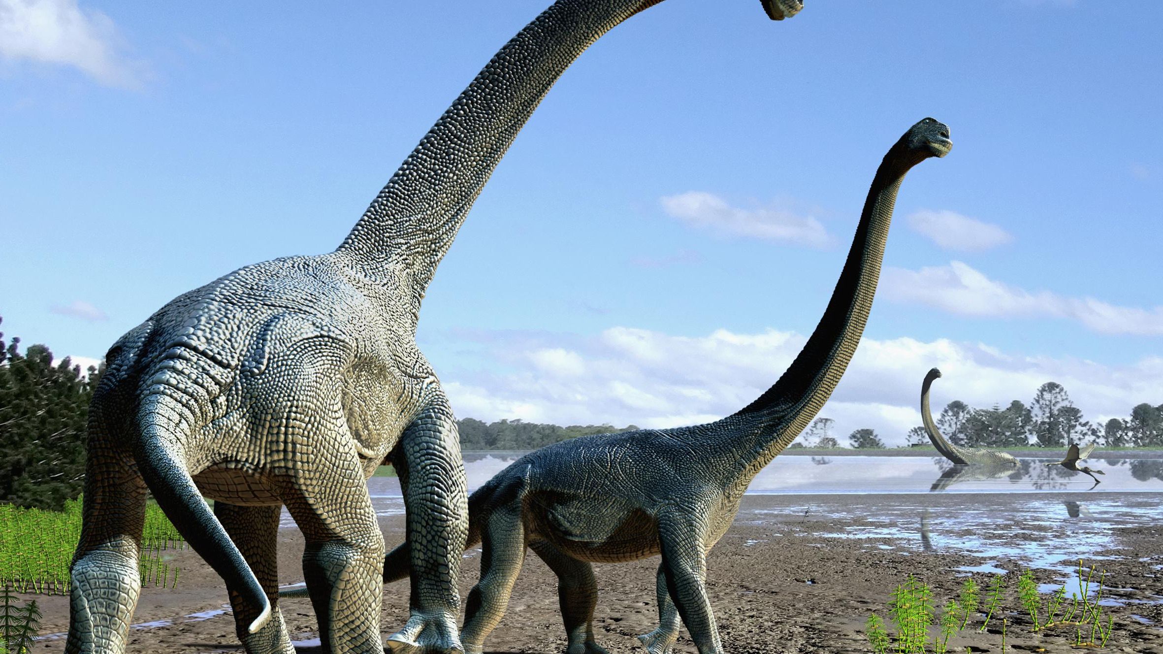 Le réveil des dinosaures géants