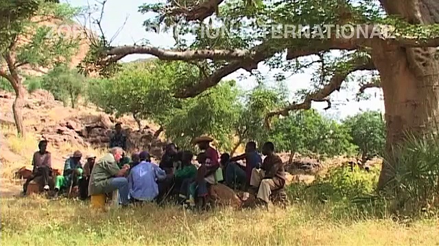 Documentaire Les dieux sont à vendre