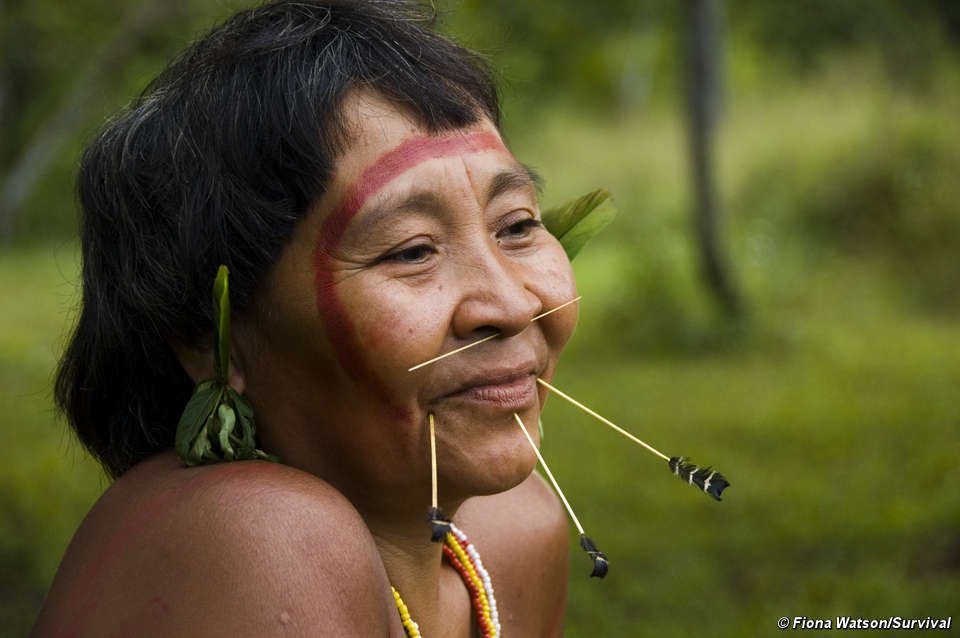 Les paradis perdus d'Amazonie (2/2)