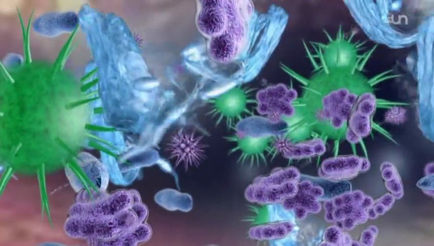 Documentaire Microbiote – Ces bactéries qui nous gouvernent