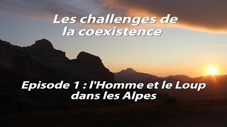 Documentaire Les challenges de la coexistence : l’homme et le loup dans les Alpes